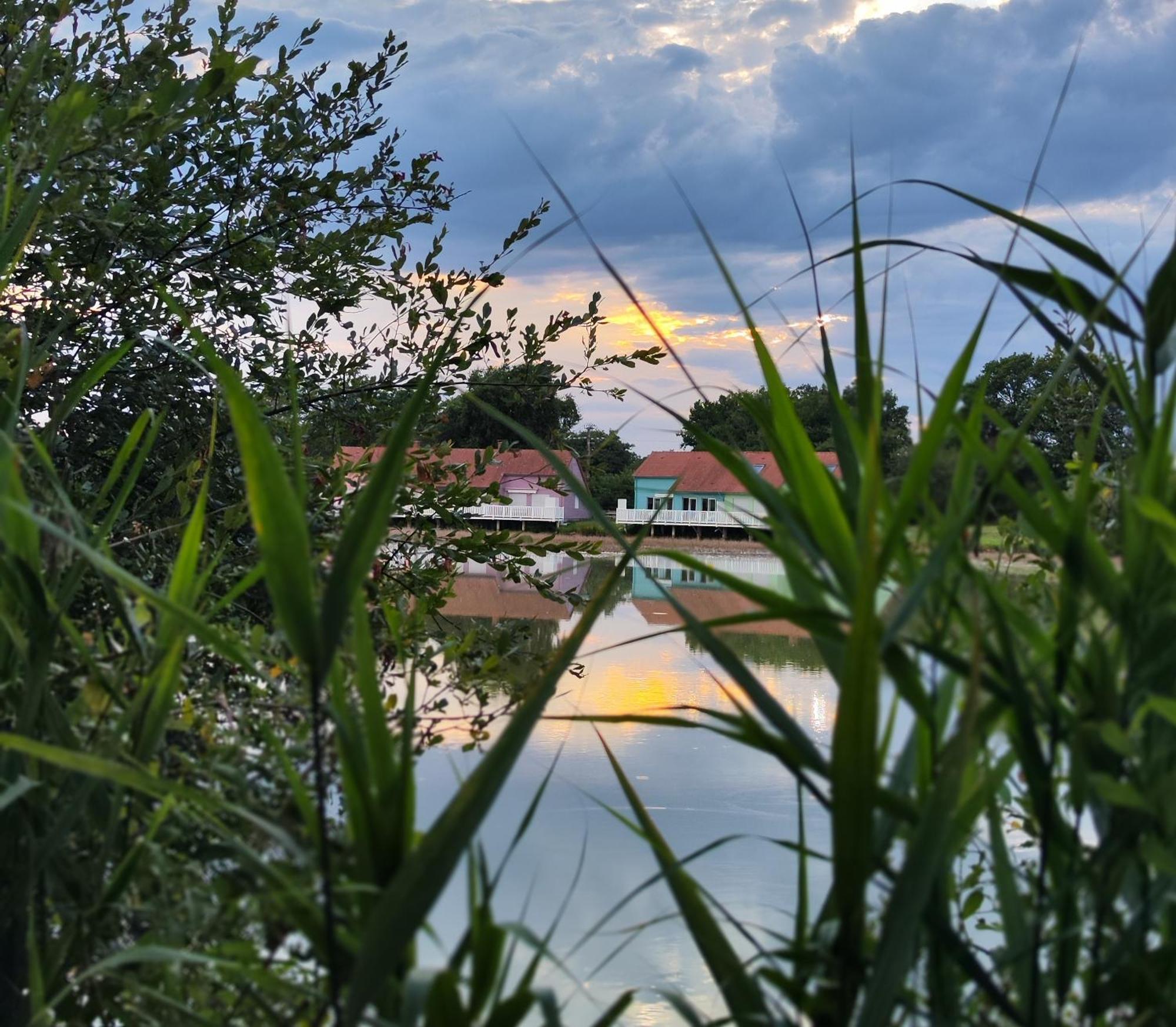 Domaine De La Roseliere • Nature • Brenne Rosnay  Zewnętrze zdjęcie